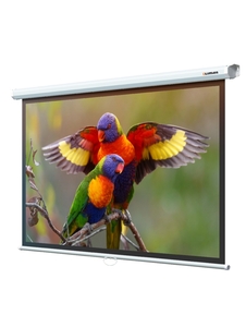 Экран для проектора Lumien Eco Picture LEP-100113, 97"