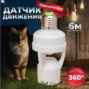 Датчик света и движения (с картой OZON)