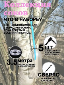 Набор для сбора берёзового сока (из-за рубежа, с картой OZON)