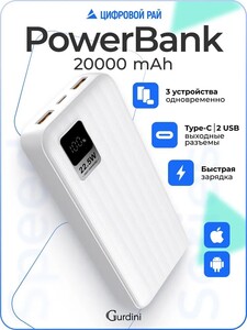 Повербанк Gurdini 20000 mAh с быстрой зарядкой 22,5W (с картой OZON)