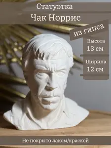 Статуэтка Чак Норрис, 13 см бюст из гипса (с картой OZON)