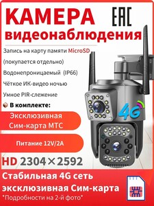 4G камера видеонаблюдения с PTZ (с картой OZON)