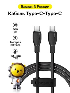 Кабель для мобильных устройств Baseus USB Type-C/USB Type-C, 1.2 м, черный (из-за рубежа, с картой OZON)