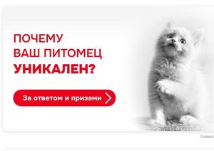 200 баллов Ozon в игре Royal Canin