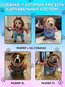 Костюм для собак и кошек Фелька в стиле Чаки (с ВБ кошельком)