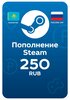 Пополнение Steam на 250₽ (Россия, Казахстан и СНГ)